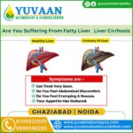 Liver Ailments Treatment