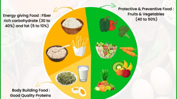 Perfect Balanced Diet Chart for