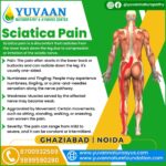 Sciatica Nerve Pain Treatment